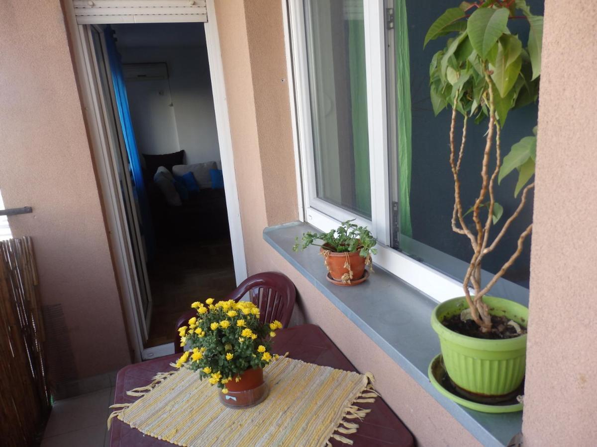 Apartment Erika 2 Novi Sad Exterior foto